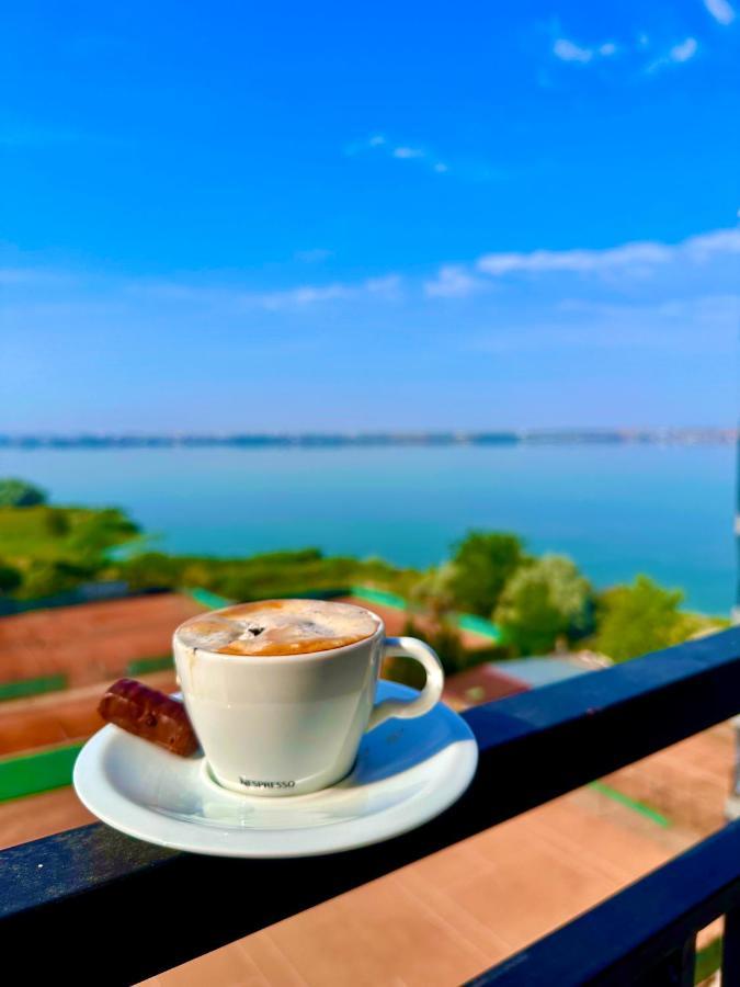 Coral -mamaia Nord